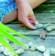 Spiel mit Steinen