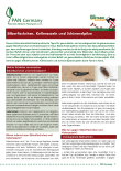 Titelbild Infoblatt Silberfischchen, Kellerasseln und Schimmelpilze